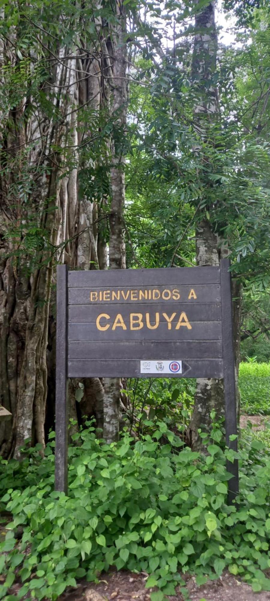Luz De Estrella Studios Cabuya  Exteriör bild