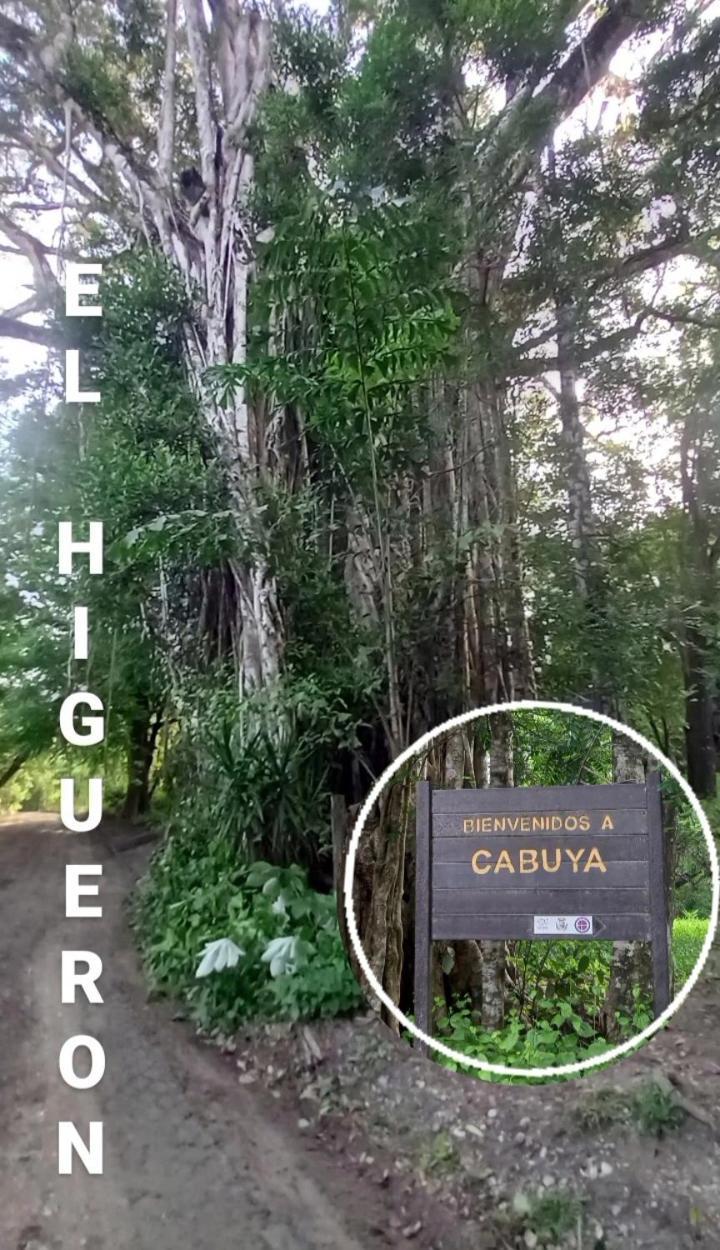 Luz De Estrella Studios Cabuya  Exteriör bild