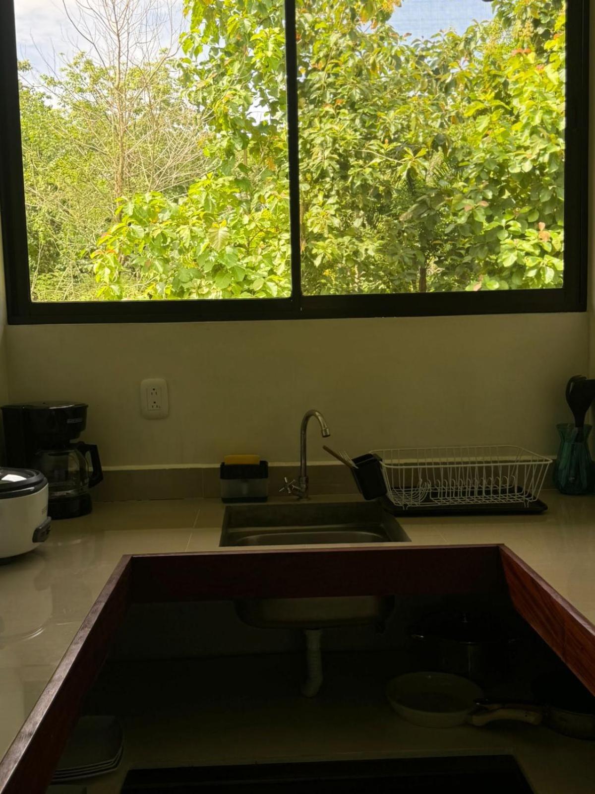 Luz De Estrella Studios Cabuya  Exteriör bild